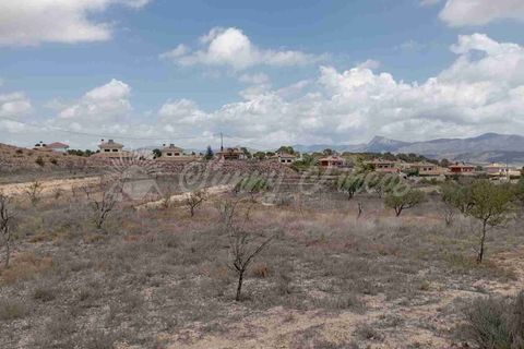 Helårsgrund i Monovar, Alicante, Monovar - € 69.995 | Ref: SF0514 - foto 8